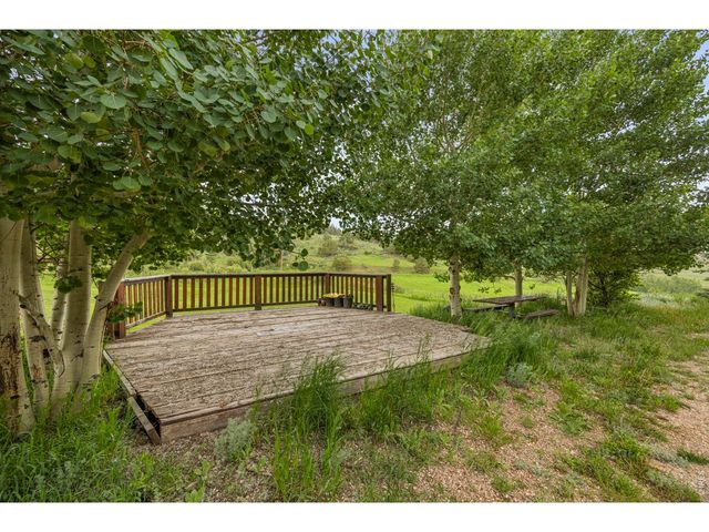 228 Mount Everest Dr, Livermore, CO 80536