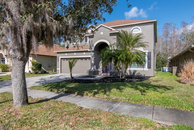 19159 CYPRESS GREEN DRIVE, Lutz, FL 33558