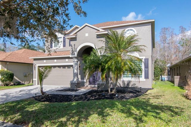 19159 CYPRESS GREEN DRIVE, Lutz, FL 33558