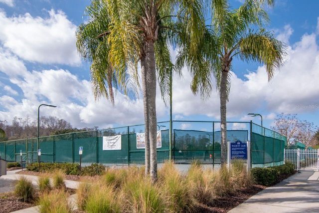 19159 CYPRESS GREEN DRIVE, Lutz, FL 33558