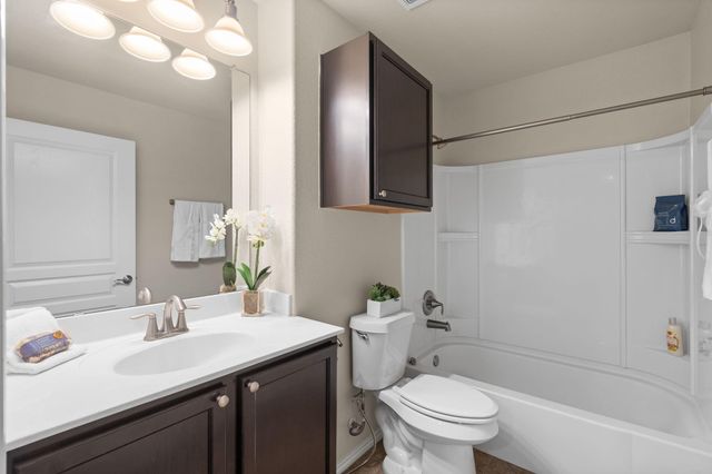 2811 Cone Flower Drive, Richmond, TX 77469