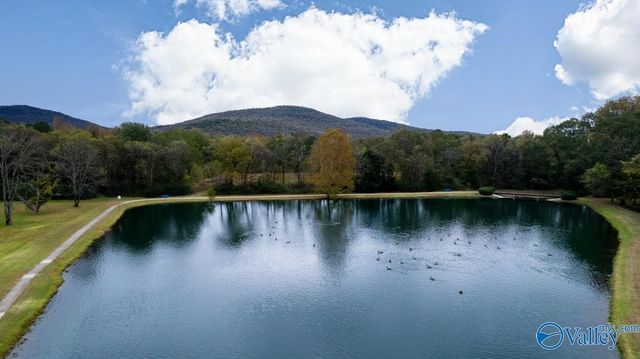 4835 Cove Creek Drive, Brownsboro, AL 35741