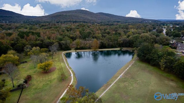 4835 Cove Creek Drive, Brownsboro, AL 35741