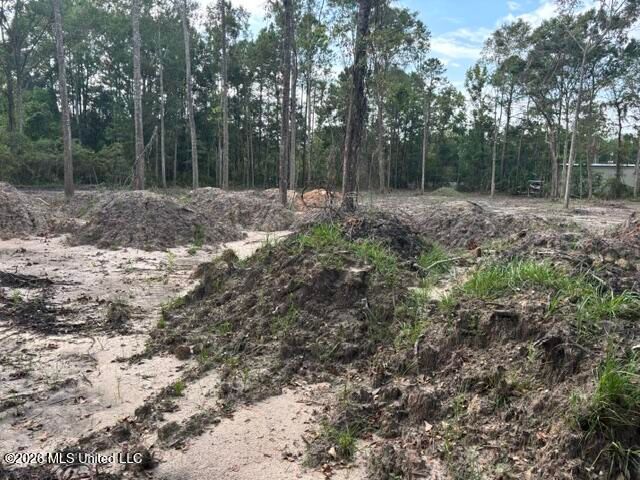 Martin Bluff Road, Gautier, MS 39553