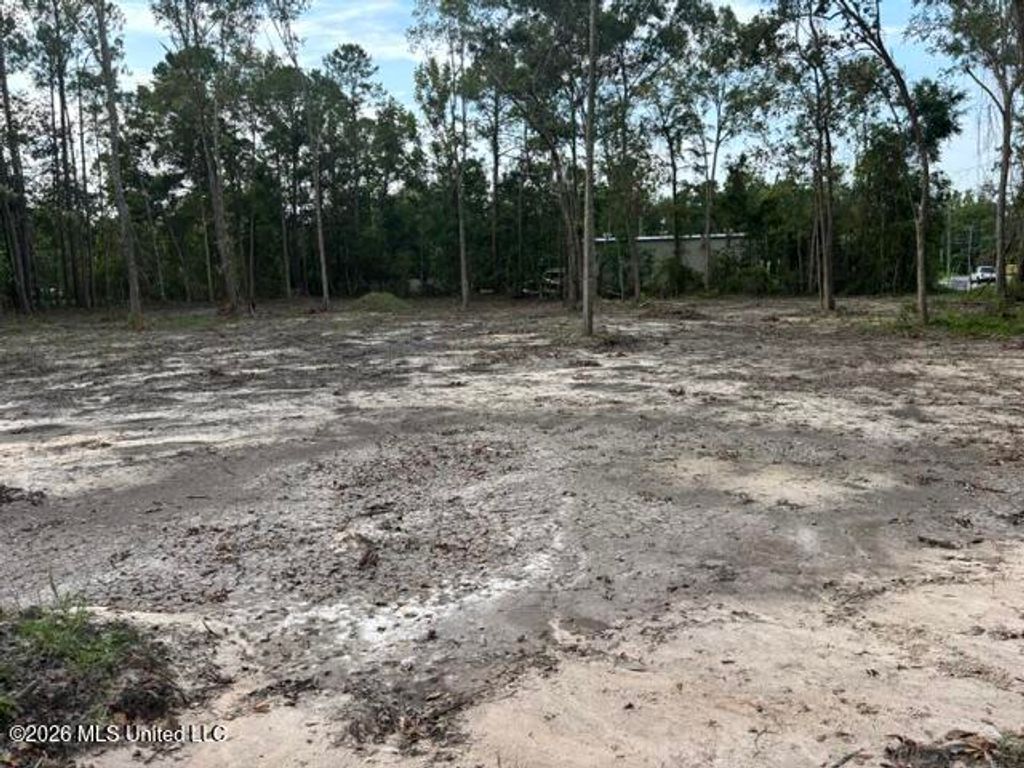 Martin Bluff Road, Gautier, MS 39553