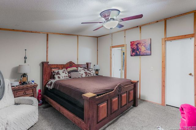 12925 Luckey Rd, Atascosa, TX 78002