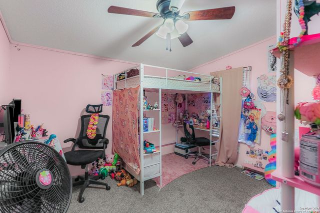 12925 Luckey Rd, Atascosa, TX 78002