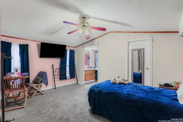 12925 Luckey Rd, Atascosa, TX 78002