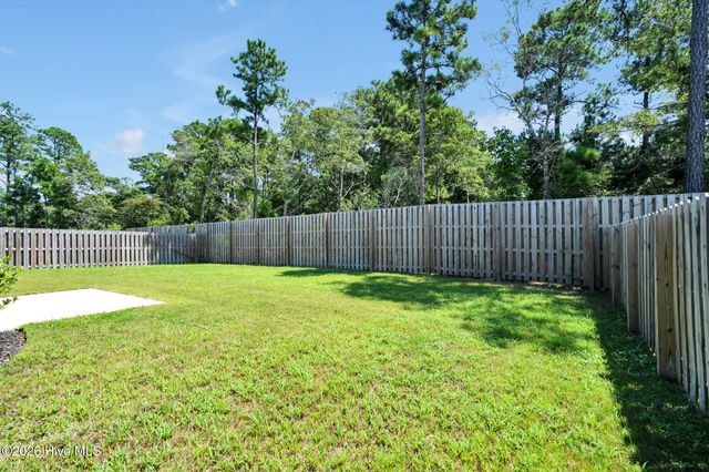 62 Streambed Way, Hampstead, NC 28443