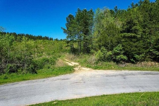 0 Cottonport Road, Decatur, TN 37322