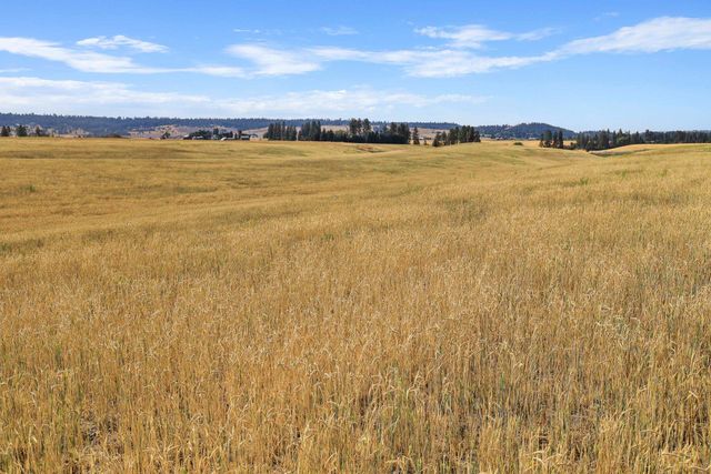 8054 E Mt Spokane Park Dr, Spokane, WA 99021