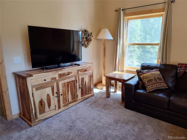 226 Pine Cone Way, Fairplay, CO 80440