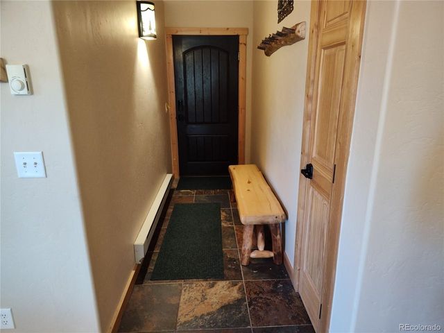 226 Pine Cone Way, Fairplay, CO 80440