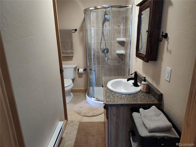 226 Pine Cone Way, Fairplay, CO 80440