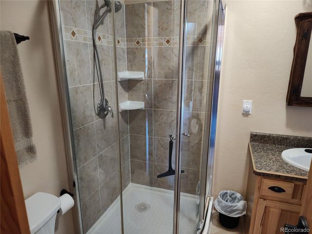 226 Pine Cone Way, Fairplay, CO 80440