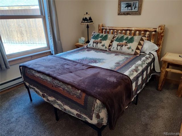 226 Pine Cone Way, Fairplay, CO 80440