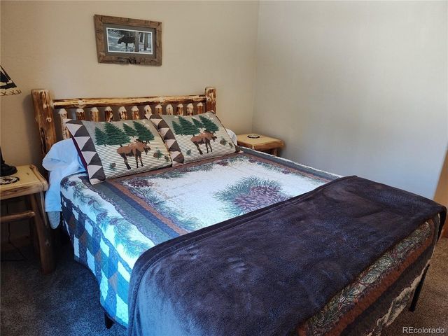 226 Pine Cone Way, Fairplay, CO 80440