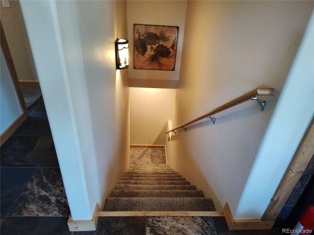 226 Pine Cone Way, Fairplay, CO 80440