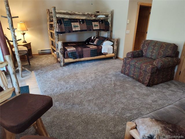 226 Pine Cone Way, Fairplay, CO 80440