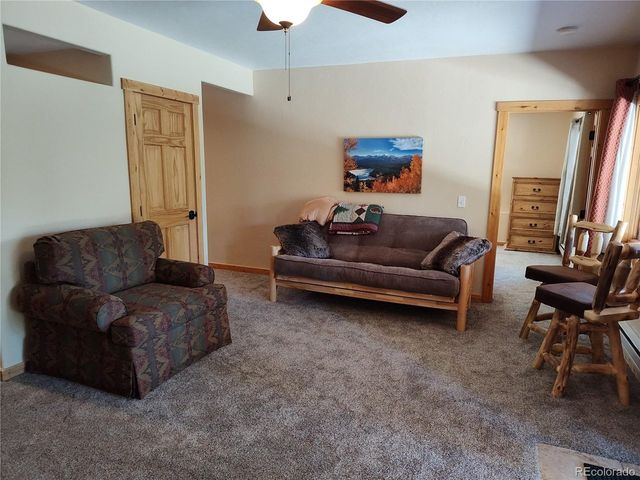 226 Pine Cone Way, Fairplay, CO 80440