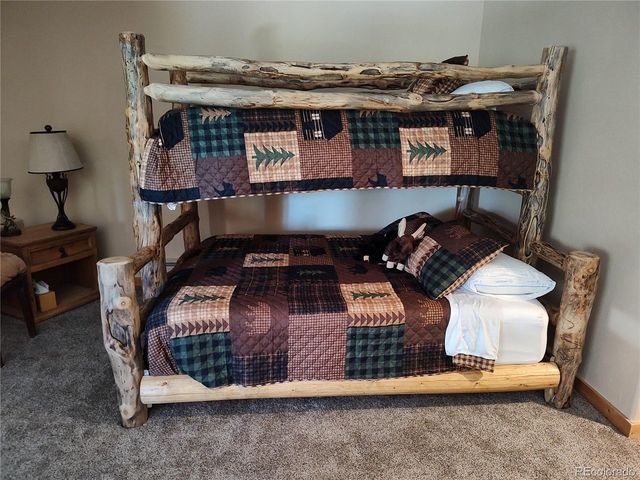 226 Pine Cone Way, Fairplay, CO 80440