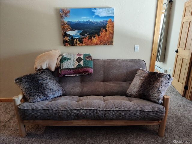 226 Pine Cone Way, Fairplay, CO 80440