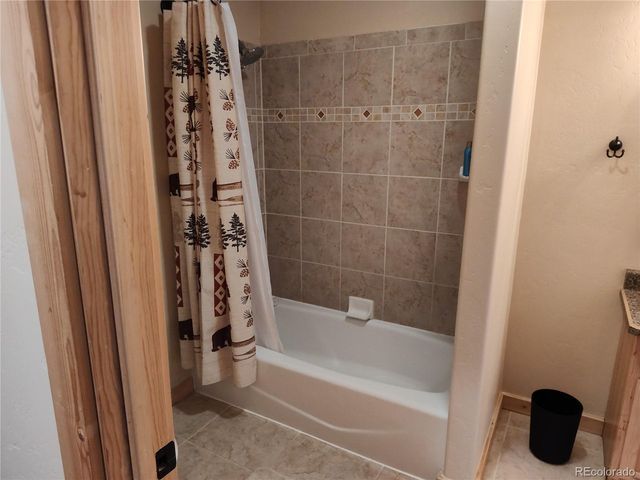 226 Pine Cone Way, Fairplay, CO 80440