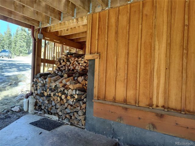 226 Pine Cone Way, Fairplay, CO 80440