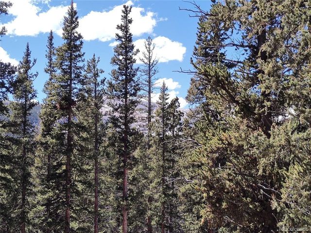 226 Pine Cone Way, Fairplay, CO 80440