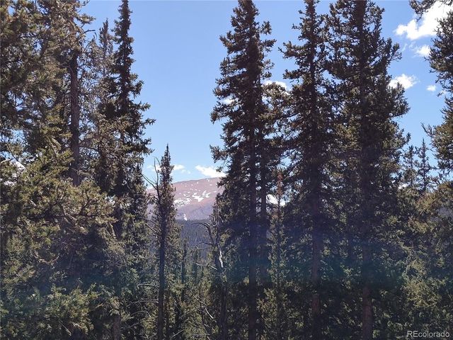 226 Pine Cone Way, Fairplay, CO 80440