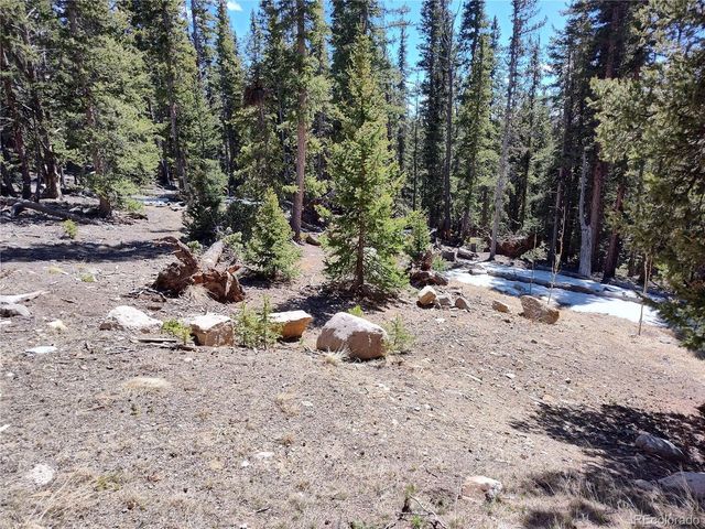 226 Pine Cone Way, Fairplay, CO 80440