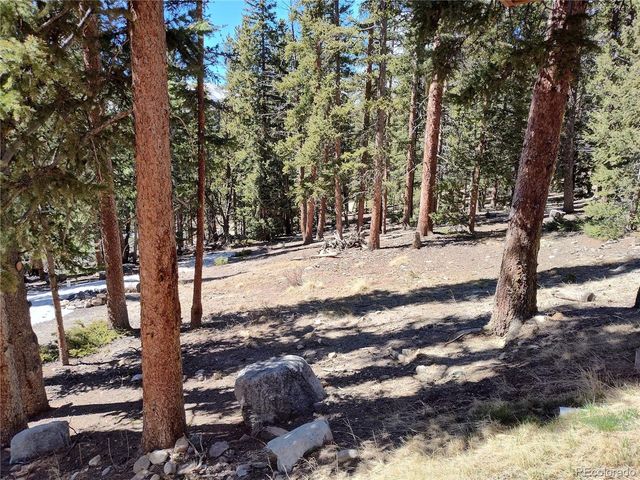 226 Pine Cone Way, Fairplay, CO 80440