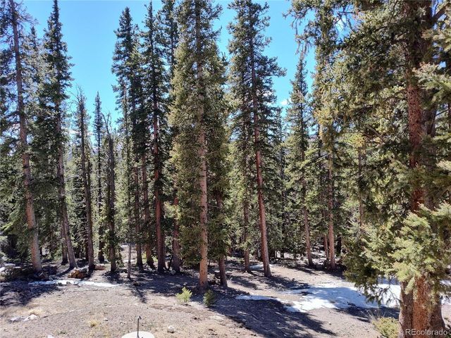 226 Pine Cone Way, Fairplay, CO 80440