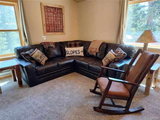 226 Pine Cone Way, Fairplay, CO 80440