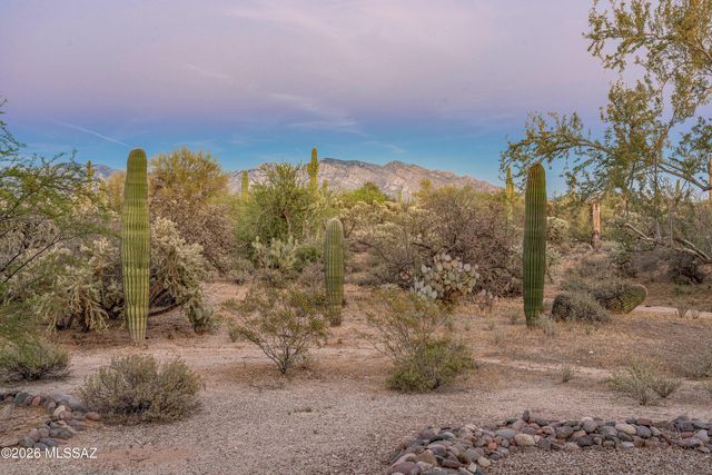 4350 W Flying Diamond Drive, Tucson, AZ 85742