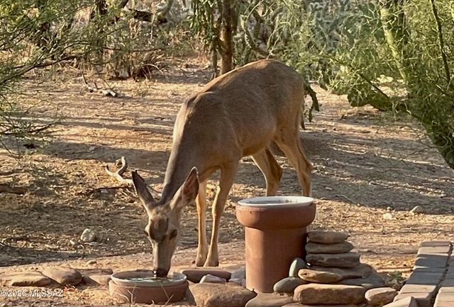 4350 W Flying Diamond Drive, Tucson, AZ 85742