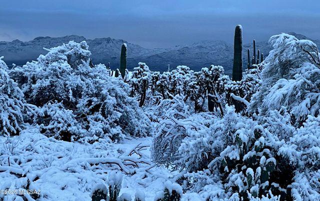 4350 W Flying Diamond Drive, Tucson, AZ 85742