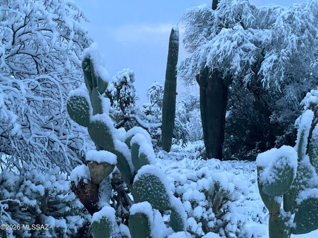 4350 W Flying Diamond Drive, Tucson, AZ 85742