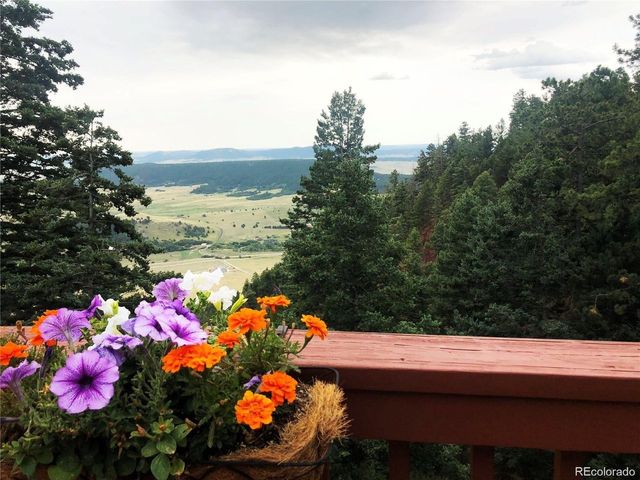 13540 Deer Ridge Way, Larkspur, CO 80118