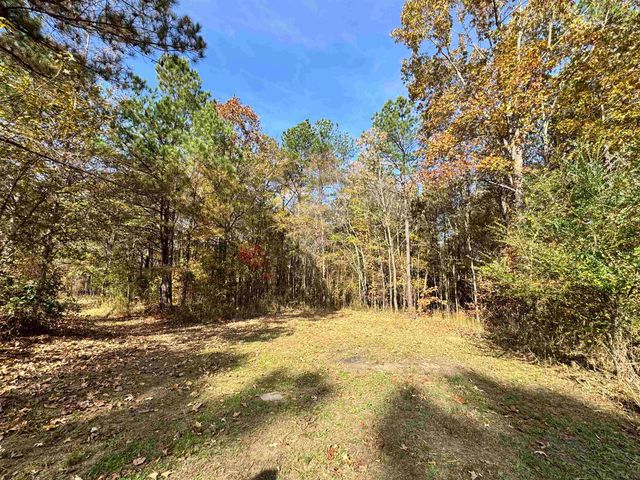 855 BEASON DR, Morris Chapel, TN 38361