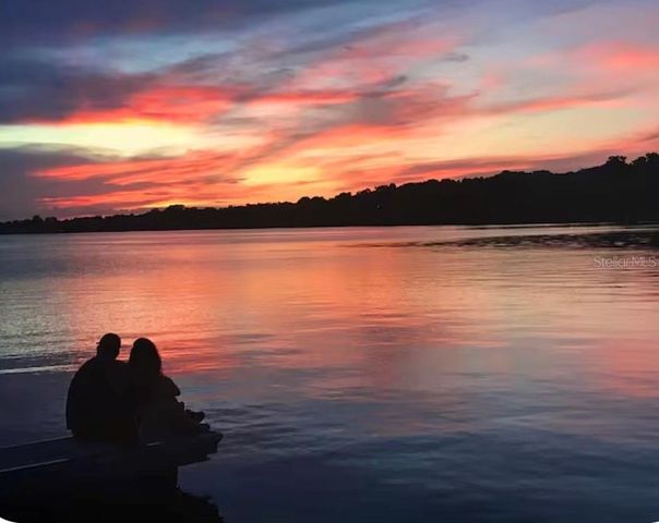 1245 N ALEXANDER STREET, Mount Dora, FL 32757