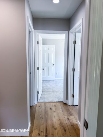 7306 John Norton Rd, Knoxville, TN 37920