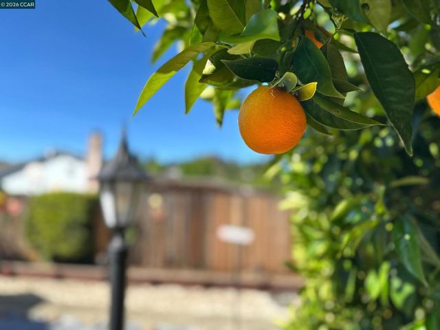 314 Semillon Cir, Clayton, CA 94517