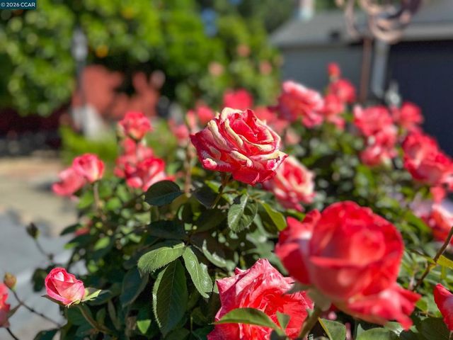 314 Semillon Cir, Clayton, CA 94517