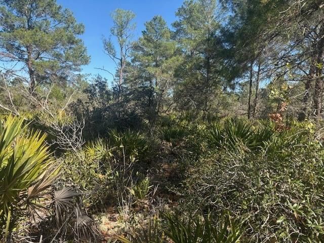 10681 Interlacher Drive, Sebring, FL 33852