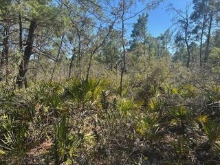 10681 Interlacher Drive, Sebring, FL 33852