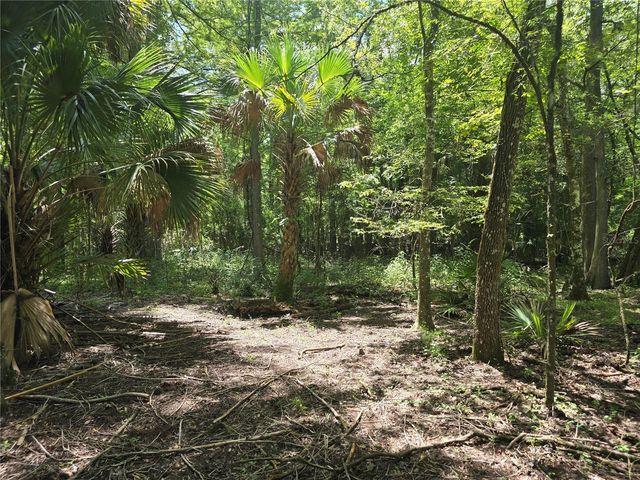 7521 S CLAY TERRACE, Floral City, FL 34436