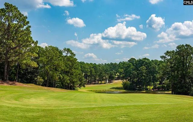 105 WildeWood Club Court, Columbia, SC 29223