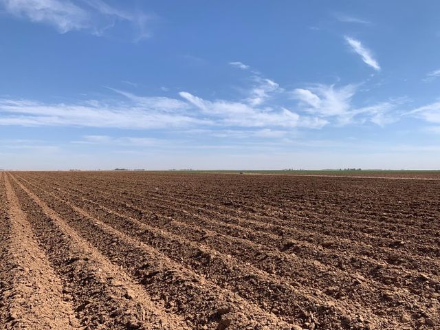 4083 Hawk Road, Ropesville, TX 79358