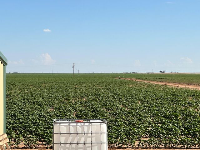 4083 Hawk Road, Ropesville, TX 79358